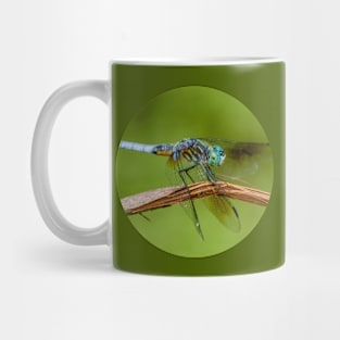 Blue Dasher Dragonfly Photograph Mug